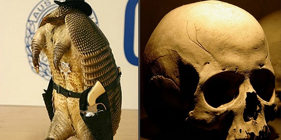 Чего только не встретишь в аэропорту, Или самые необычные находки таможенников