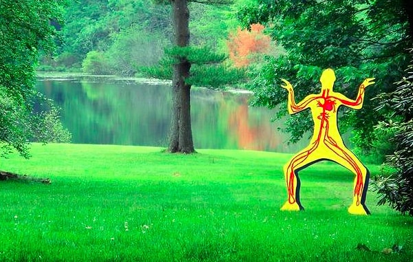 7. Что  НЕ является частью системы кровообращения?