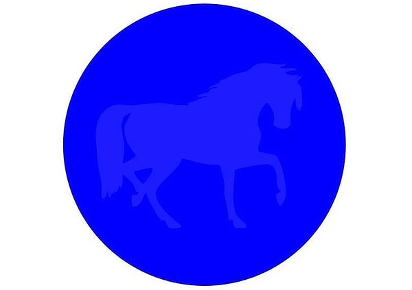 9. Что это за животное?