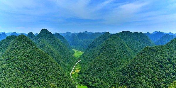 1. Çin topraklarının en az %25'i orman olarak korunacak.
