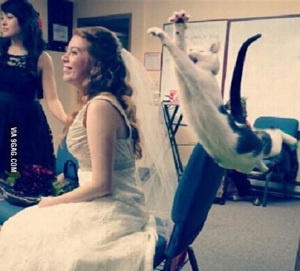 3. Танец с невестой?!