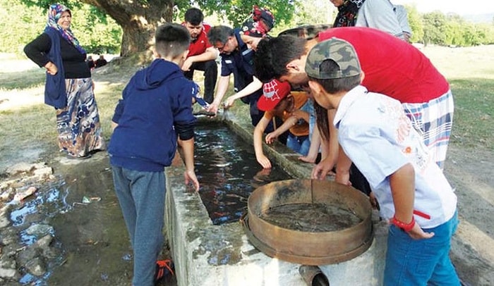 Çevre Kirliliğinin Geldiği Son Nokta! Vatandaşlar Can Çekişen Balıkları Yıkayarak Hayata Döndürmeye Çalıştı