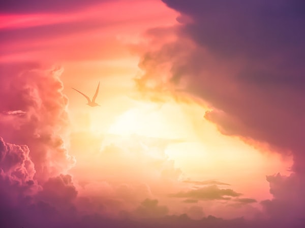 Ваш мозг предпочитает теплые тона!