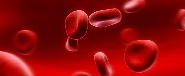 4. Talasemi Hastalarının Ömrü