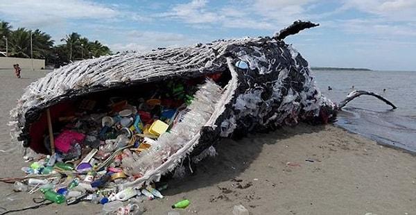 5. Okyanustaki plastik atıkları yediği için kıyıya vuran balina.