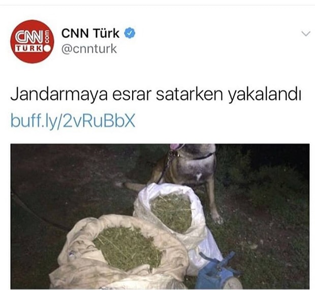 4. Bu artık çok başka bir boyut...