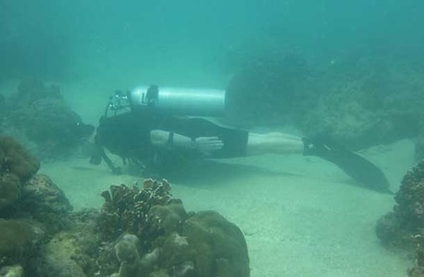 17. Подводный мир, как видите, тоже в теме 🐠