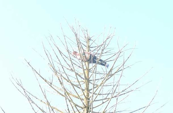 18. А вот это уже небезопасно!