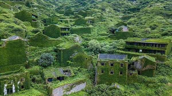 16. Çin'in Houtouwan bölgesinde, terk edilmiş bir köyü ele geçiren doğa.