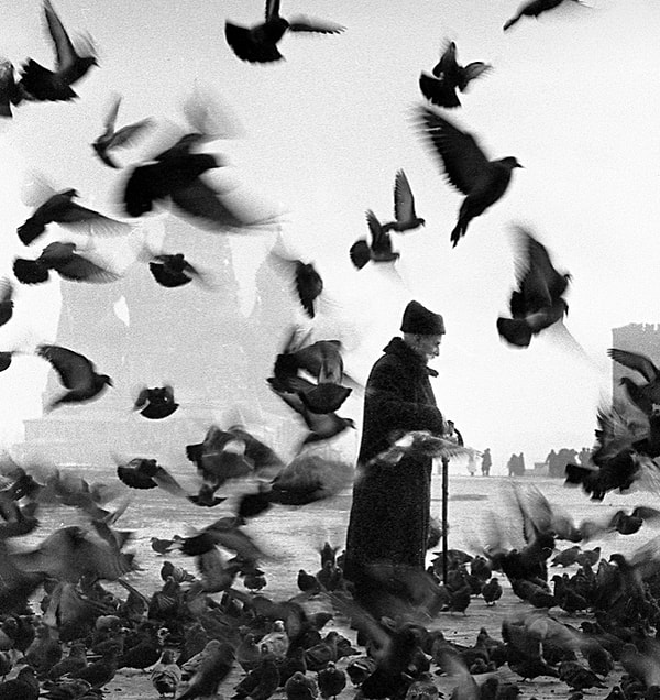 9. "Пожилой мужчина и голуби" (1950-60-е)