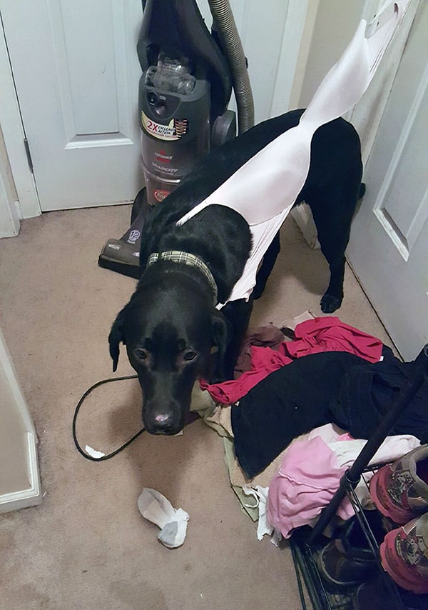 21. Да уж... Гордиться не чем