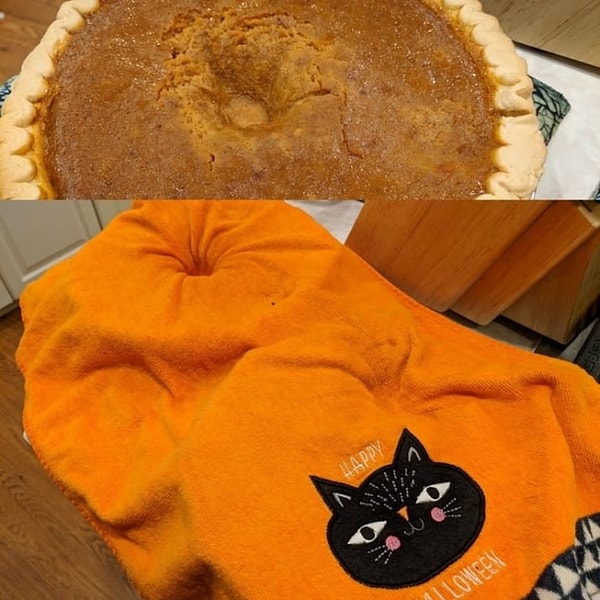 14. Любитель прогуляться по пирогу: