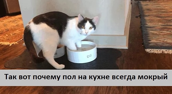 5. Увлеченная поломойка: