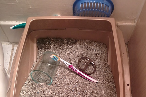 16. Утро уже не такое доброе...