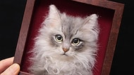 Japon Artist'in Keçe Kullanarak Yaptığı 3 Boyutlu Kedi Portrelerini Görünce Gözlerinizden Kalpler Fışkıracak!