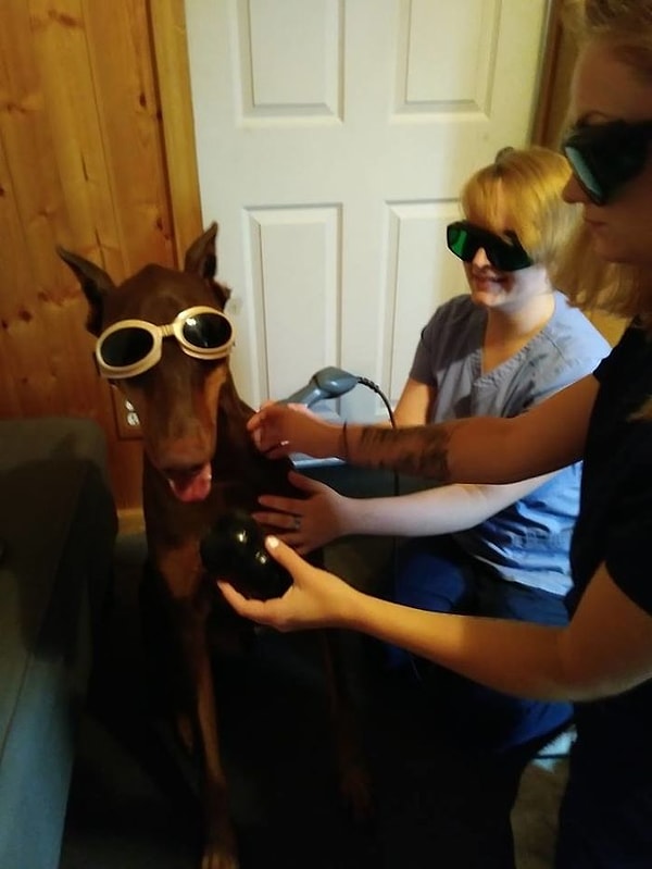 10. В лечении принимает участие вся семья!