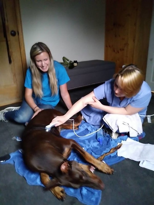 11. Ведь Купер давно уже стал неотъемлемой ее частью.