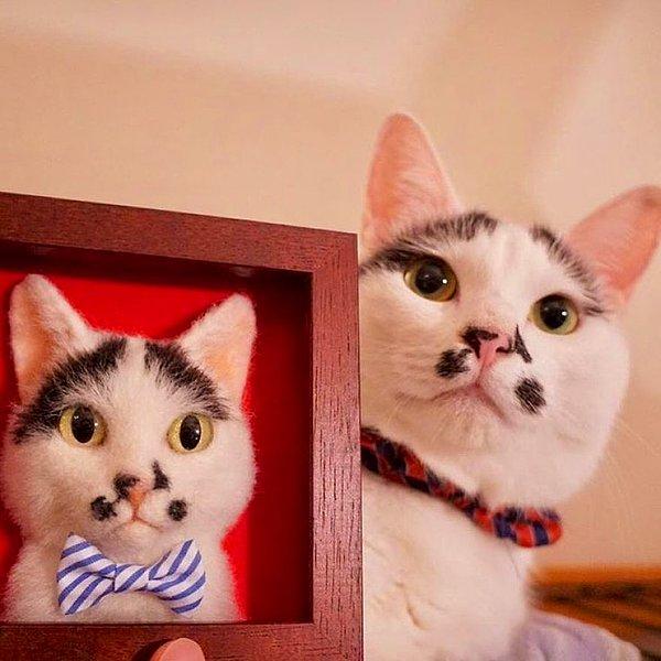 Çalışmalarını gerçekçi kılmak için gerçek kedilerin resimlerini referans olarak kullanıyor.