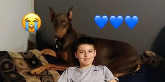 Дружба без границ: 10-летний мальчик продает все свои игрушки, чтобы спасти любимую собаку