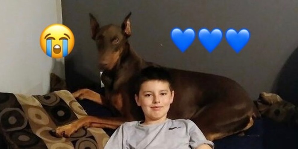 Дружба без границ: 10-летний мальчик продает все свои игрушки, чтобы спасти любимую собаку