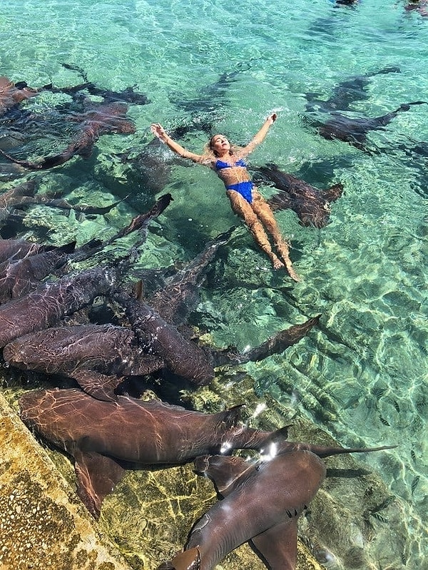 Прямо фотка для Инстаграм, правда?