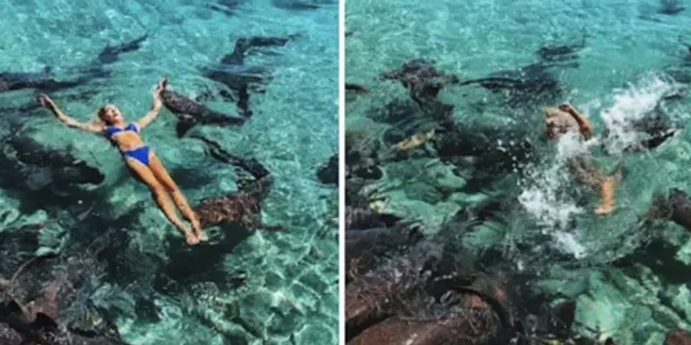 Девушку укусила акула, когда та позировала в море ради фотографий для соцсетей!