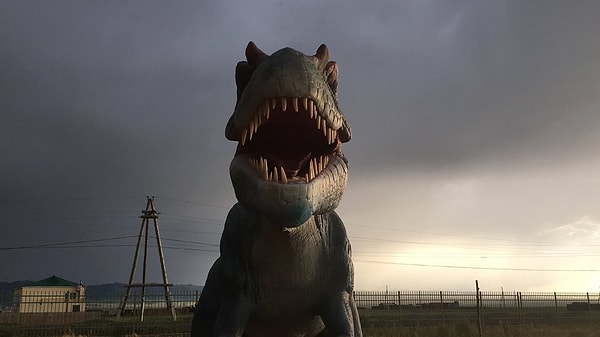 “Silk Road” ("Шелковый путь")