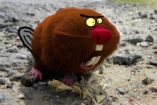 1. "Это я-то нервный?! Я тебе покажу нервных!"