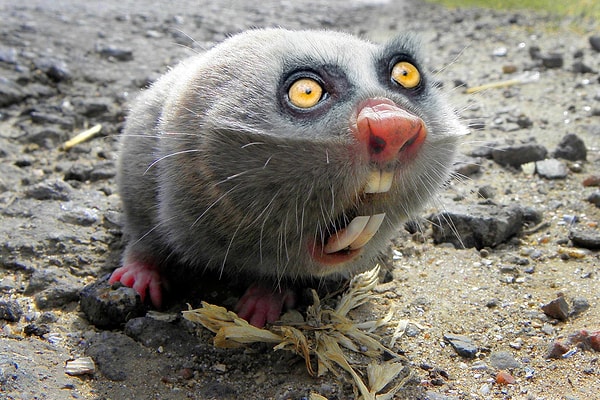 3. "Что это было??"