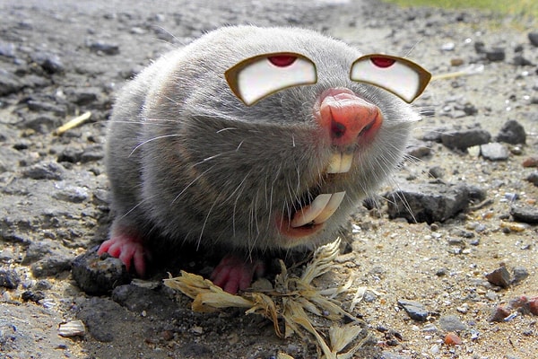 4. "Солнце только встало, и уже такое пекло..."