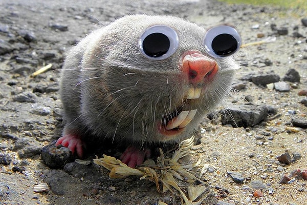 8. "И кто виноват?!"