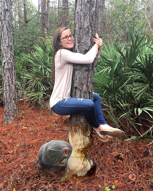 11. "Познакомимся?"