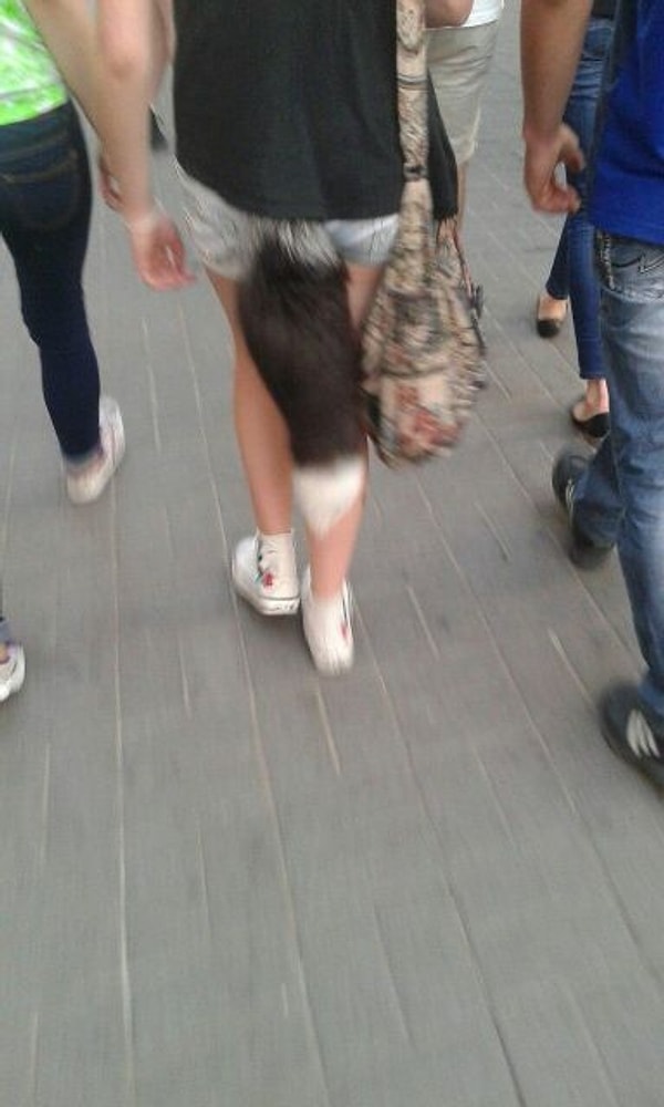 21. В общем, жизнь - зоопарк, а мы все в нём звери 😂