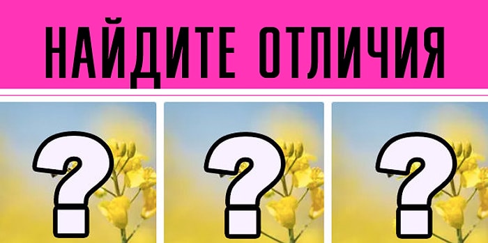 Тест: проверьте вашу внимательность к деталям, найдя отличия между этими картинками
