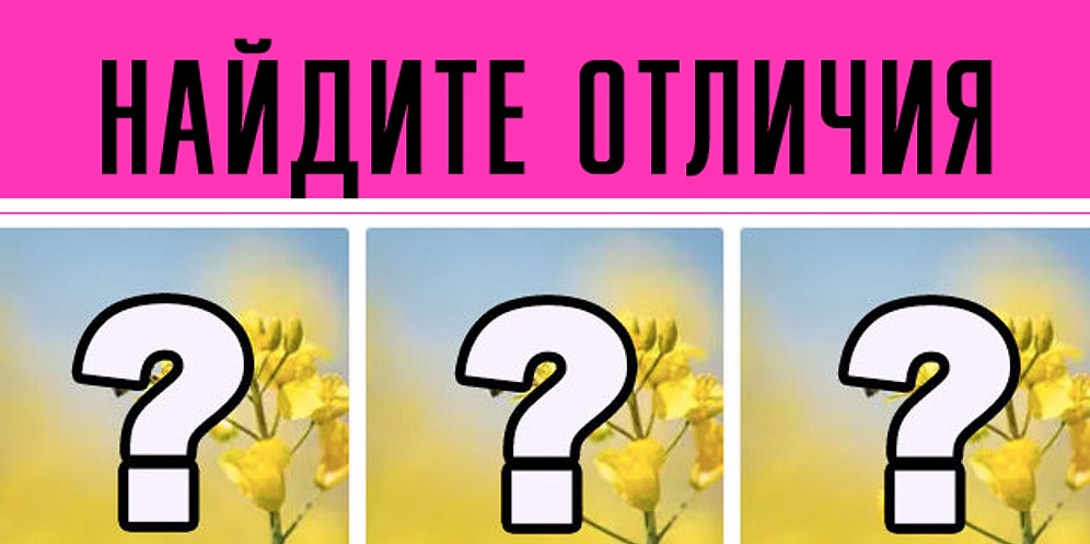 Тест: проверьте вашу внимательность к деталям, найдя отличия между этими картинками