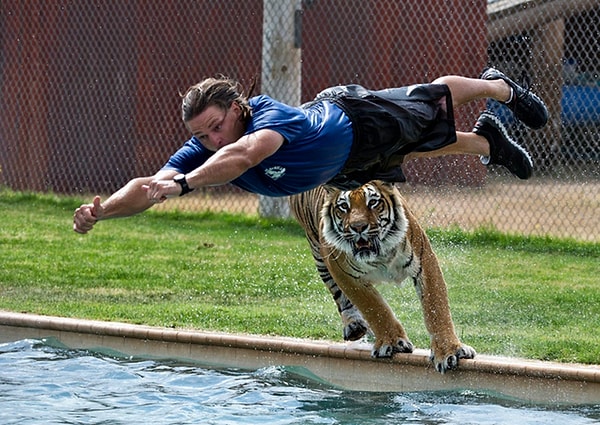 Тест провален. Но мы вас не виним — животные действительно очень редкие! 😉