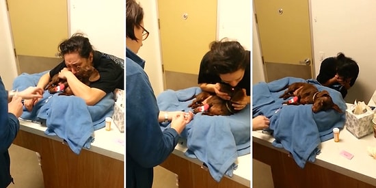 Son Nefesini Veren Köpeğiyle Vedalaşan Kadının İzlerken Gözyaşlarına Boğulacağınız Anları
