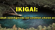 Yataktan Kalkma Amacınızı Yani İkigai'nizi Bulup Daha Huzurlu Bir Hayat Yaşamak İçin Öneriler