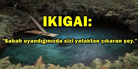 Yataktan Kalkma Amacınızı Yani İkigai'nizi Bulup Daha Huzurlu Bir Hayat Yaşamak İçin Öneriler
