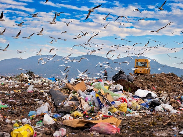 2. Правда ли, что стекло, выброшенное на свалку, никогда не сгниет?