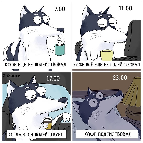 21. Закон подлости