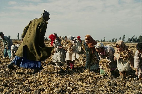 8. Пакистан - число рабов на 1000 человек: 16,8