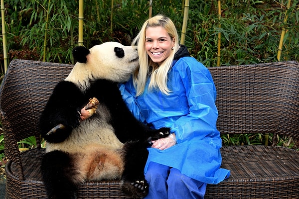 9. Большая панда (бамбуковый медведь) является исчезающим видом и занесена в Красную книгу. Во всем мире насчитывается всего около 2 тыс. больших панд.