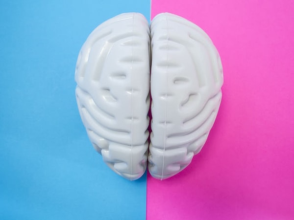 5. Вы находитесь в стадии принятия очень важного решения. Вы сделаете это умом или сердцем?