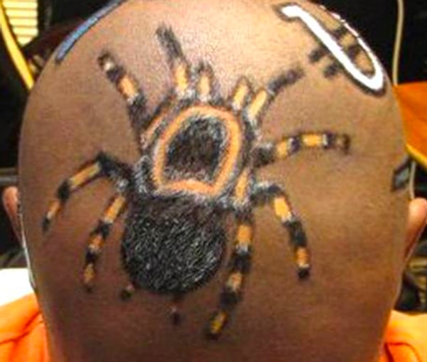 10. Людям с боязнью пауков точно лучше держаться подальше!