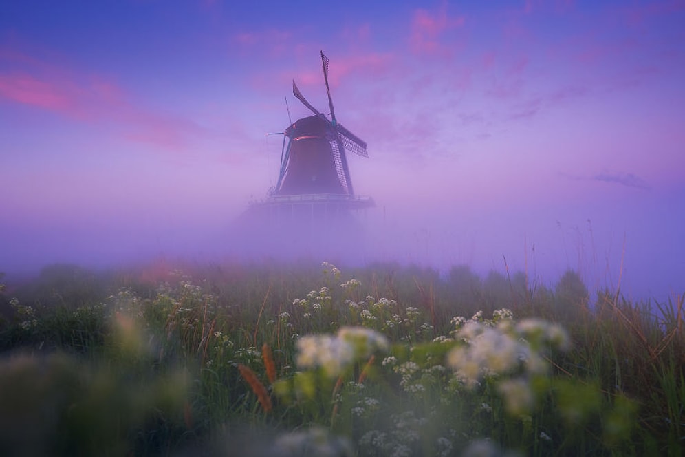 Masallardaki Gibi! Sis Altında Büyüleyici Bir Köy: Zaanse Schans