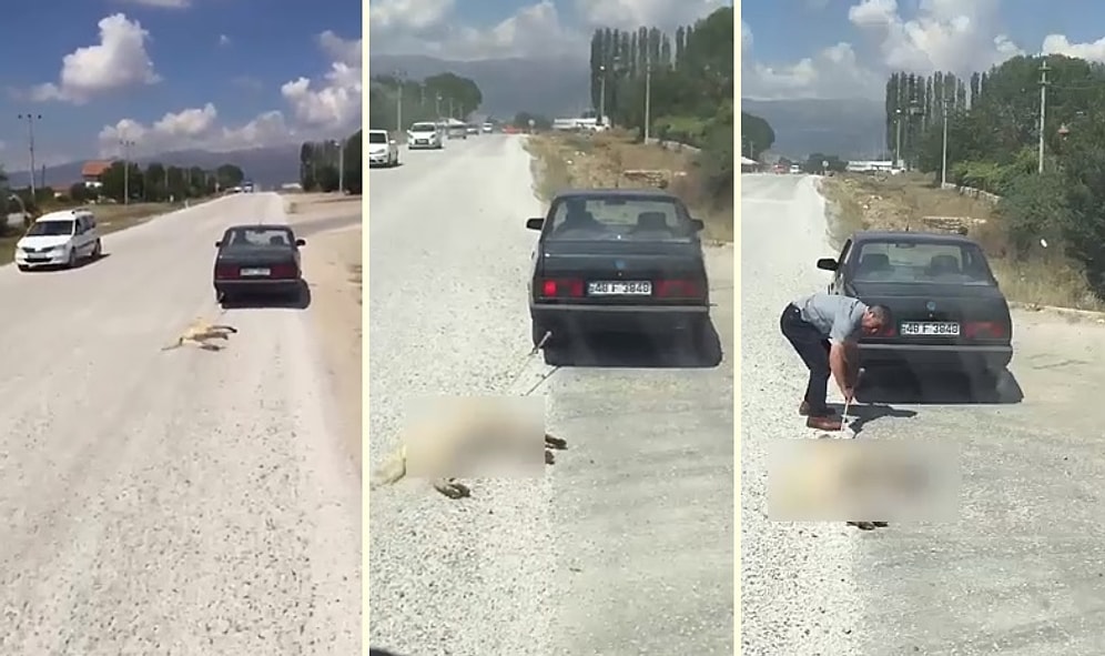 Köpeği Arabanın Arkasına Bağlayıp, Sürükleyerek İşkence Eden Cani!