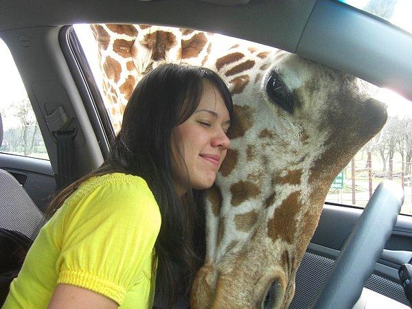 5. "Eşim zürafaları çok seviyor, ilk buluşmaya başladığımız zamanlarda onu bir tanesiyle yakın temasa geçebileceği bir yere götürdüm. Bu fotoğraf, benim için hala saf mutluluğun ve arkasından gelen birkaç damla göz yaşının en güzel tanımı."