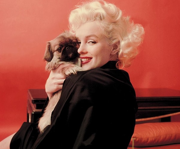 4. Что из этого ты бы использовала как праймер под макияж?