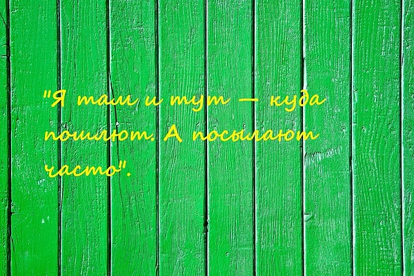 4. Из какого мультика эта фраза?